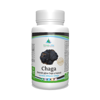 Čaga gljiva (Inonotus obliquus) - lekovita gljiva u kapsulama sa 30% betaglukana 60 x 500 mg