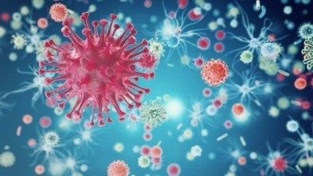 HIV virus Side ili kako da se živi sa HIV virusom?