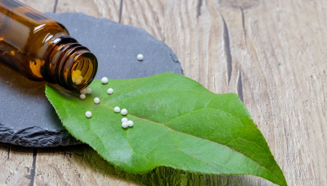 Zdravlje i bolest u homeopatiji - koji je koncept homeopatije