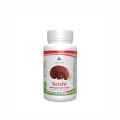 Reiši gljiva (Ganoderma lucidum) – lekovita pečurka u kapsulama sa 30% beta glukana 60 x 500 mg