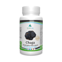 Čaga gljiva (Inonotus obliquus) - lekovita gljiva u kapsulama sa 30% betaglukana 60 x 500 mg