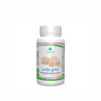Lavlja griva gljiva (Hericium erinaceus) – lekovita pečurka u kapsulama sa 30% beta glukana 60x 500 mg