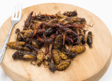 Jestivi insekti u hrani i kozmetici - istina i mitovi