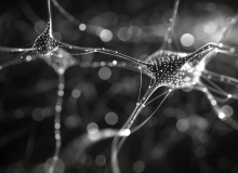 Neurotoksini i protokol za eliminaciju neurotoksina Dr Klinghardt