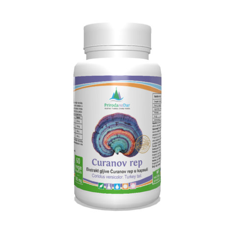 Ćuranov rep gljiva (Coriolus versicolor) – lekovita pečurka u kapsulama sa 30% beta glukana 60 x 500 mg