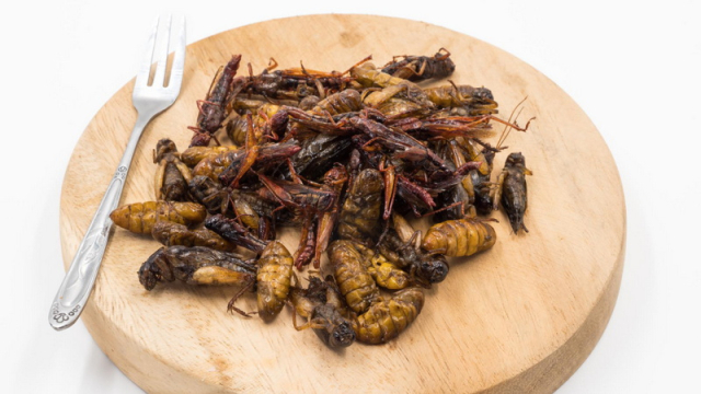 Jestivi insekti u hrani i kozmetici - istina i mitovi