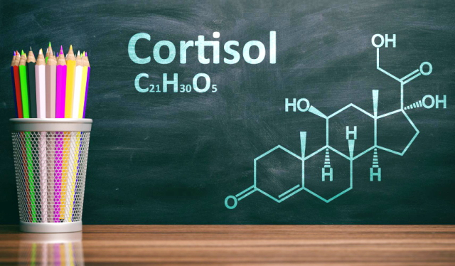 Šta je kortizol hormon stresa i kako ga kontrolisati