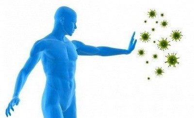 Gde nastaje imunitet u telu - imuni sistem našeg tela