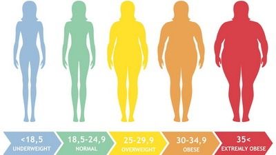 Šta je idealna telesna masa i kako se računa Indeks telesne mase BMI?