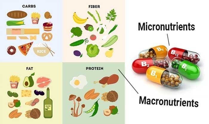Mikronutrijenti i makronutijenti - kako su razlikuju ovi nutrijenti