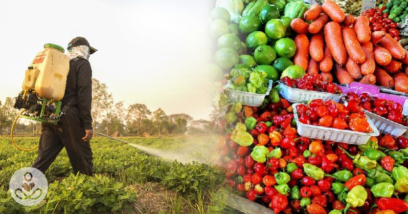 Pesticidi u hrani - koje voće i povrće ima najviše pesticida