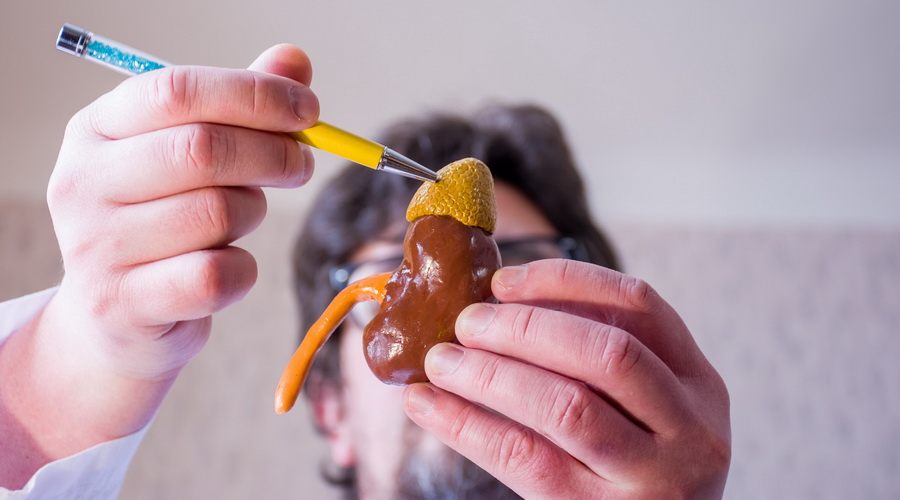 Saveti | Priroda na dar - Srbija